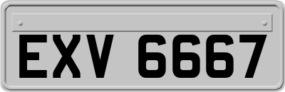 EXV6667