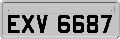 EXV6687