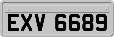 EXV6689