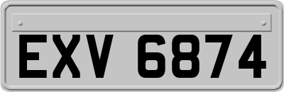 EXV6874