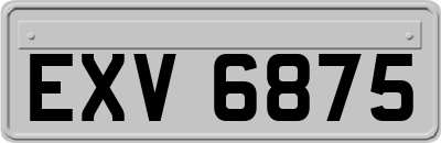 EXV6875