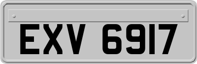 EXV6917