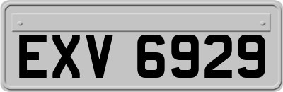 EXV6929