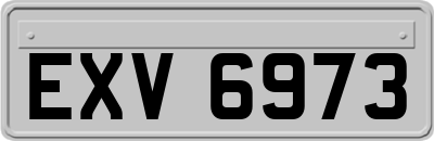 EXV6973