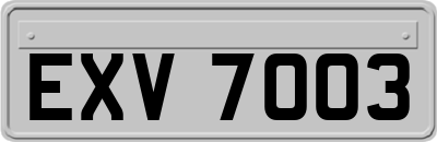 EXV7003