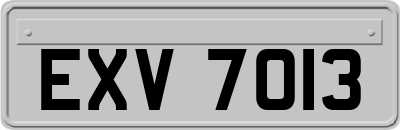 EXV7013