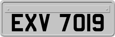 EXV7019