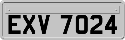 EXV7024