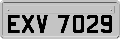 EXV7029