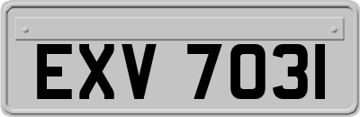 EXV7031