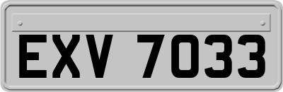 EXV7033