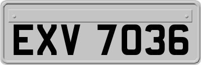 EXV7036