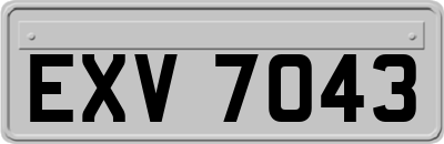 EXV7043