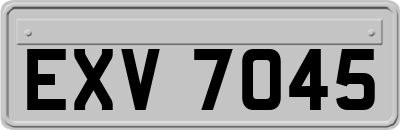 EXV7045