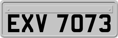 EXV7073