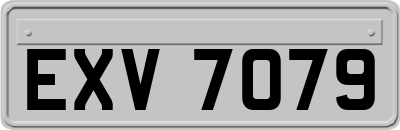 EXV7079