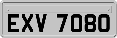 EXV7080