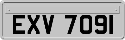 EXV7091