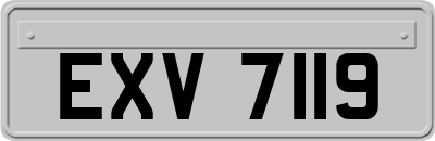 EXV7119