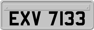 EXV7133