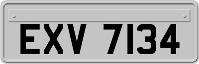EXV7134