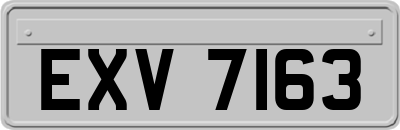 EXV7163