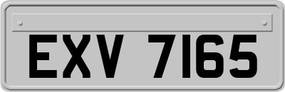 EXV7165