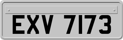 EXV7173