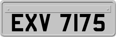 EXV7175