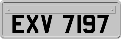 EXV7197