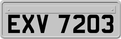 EXV7203