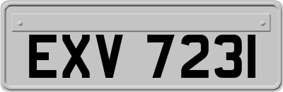 EXV7231