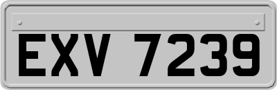 EXV7239
