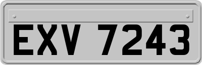 EXV7243