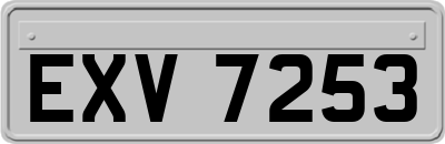 EXV7253