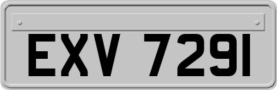 EXV7291