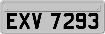 EXV7293
