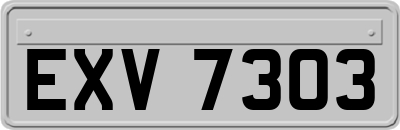 EXV7303