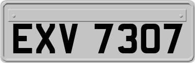 EXV7307