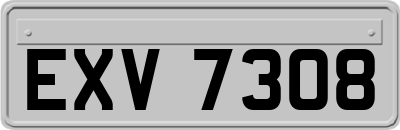 EXV7308