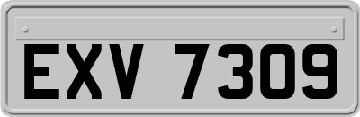 EXV7309
