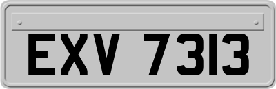 EXV7313