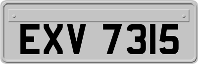 EXV7315