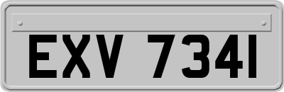 EXV7341