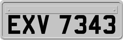 EXV7343