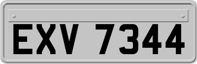 EXV7344