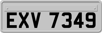 EXV7349