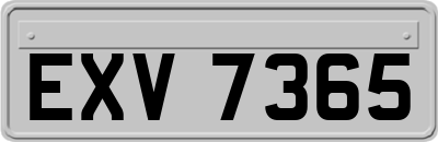 EXV7365
