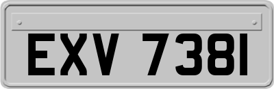 EXV7381