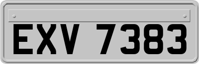 EXV7383